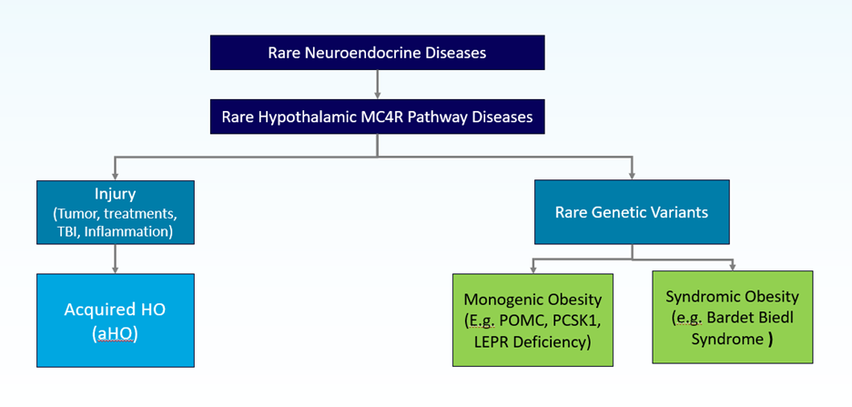 Rhythm Pharmaceuticals Figure 1 Rare Hypothalamic MC4R Pathway Diseases